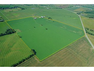 Property photo 8 - Land Auction Event of the Year! 5,529 Acres in 54 Tracts - Tillable Land, Country Estates, Building Sites, Show Barn