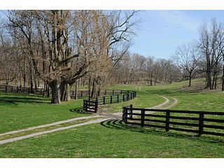 Property photo 13 - Land Auction Event of the Year! 5,529 Acres in 54 Tracts - Tillable Land, Country Estates, Building Sites, Show Barn