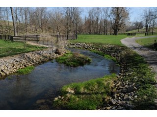 Property photo 10 - Land Auction Event of the Year! 5,529 Acres in 54 Tracts - Tillable Land, Country Estates, Building Sites, Show Barn