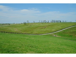 Property photo 39 - Land Auction Event of the Year! 5,529 Acres in 54 Tracts - Tillable Land, Country Estates, Building Sites, Show Barn