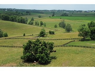 Property photo 38 - Land Auction Event of the Year! 5,529 Acres in 54 Tracts - Tillable Land, Country Estates, Building Sites, Show Barn