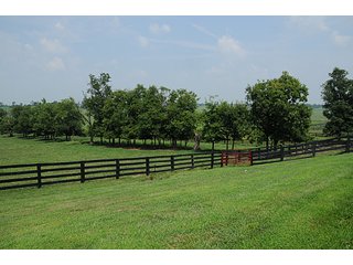 Property photo 4 - Land Auction Event of the Year! 5,529 Acres in 54 Tracts - Tillable Land, Country Estates, Building Sites, Show Barn