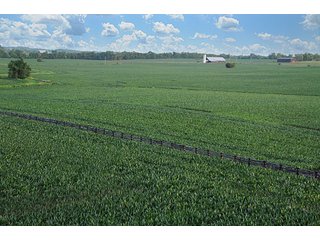 Property photo 42 - Land Auction Event of the Year! 5,529 Acres in 54 Tracts - Tillable Land, Country Estates, Building Sites, Show Barn