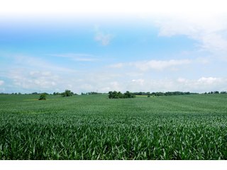 Property photo 6 - Land Auction Event of the Year! 5,529 Acres in 54 Tracts - Tillable Land, Country Estates, Building Sites, Show Barn