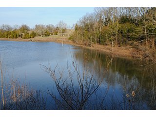 Property photo 7 - Land Auction Event of the Year! 5,529 Acres in 54 Tracts - Tillable Land, Country Estates, Building Sites, Show Barn