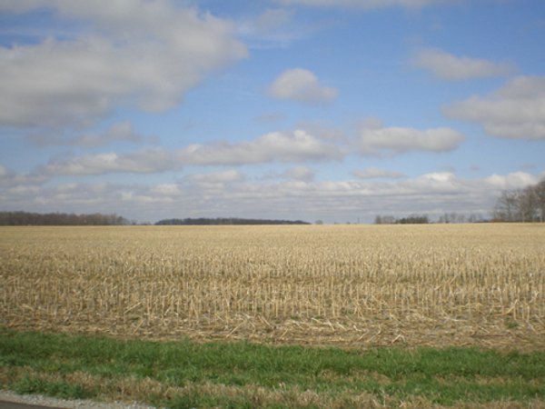 AUCTION CANCELLED    105+/- Acres Offered in 1 Tract