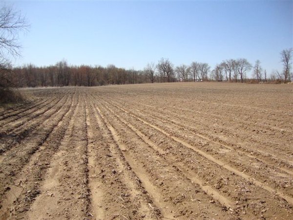 Land Auction, 113 Acres in 5 Tracts, Tillable, Building Sites, Hunting