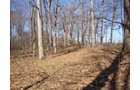 Property photo 2 - Land Auction, 113 Acres in 5 Tracts, Tillable, Building Sites, Hunting