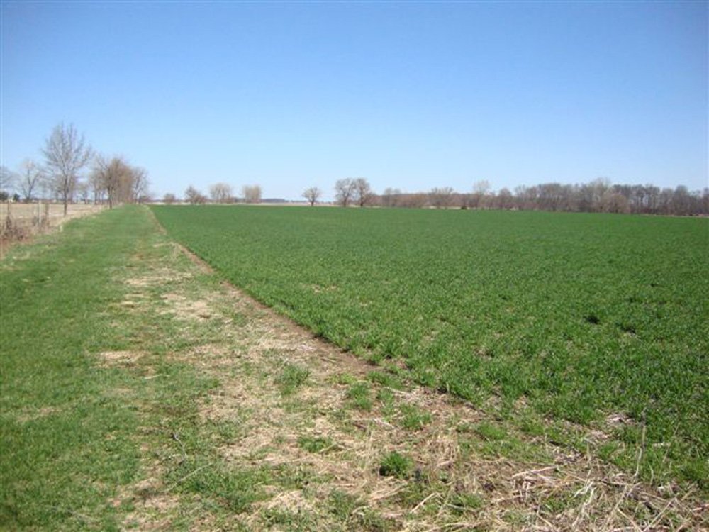 Property photo 3 - Land Auction, 113 Acres in 5 Tracts, Tillable, Building Sites, Hunting
