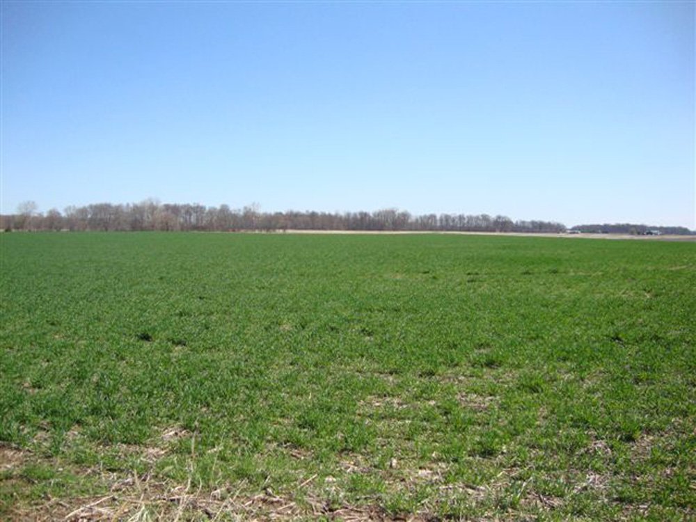 Property photo 4 - Land Auction, 113 Acres in 5 Tracts, Tillable, Building Sites, Hunting
