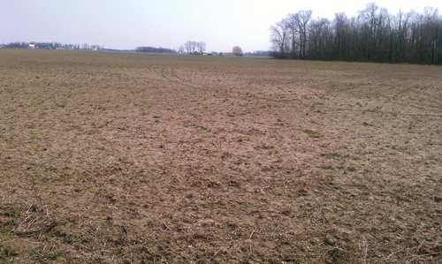 Property photo 4 - 97 Acres Productive Tillable Land