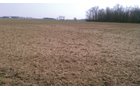 Property photo 4 - 97 Acres Productive Tillable Land