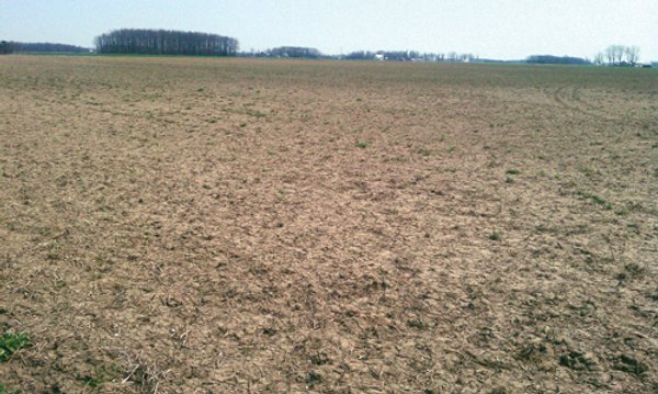 97 Acres Productive Tillable Land