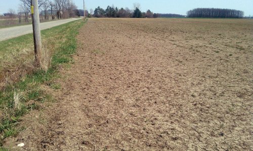 Property photo 7 - 97 Acres Productive Tillable Land