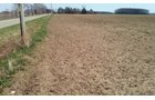 Property photo 7 - 97 Acres Productive Tillable Land