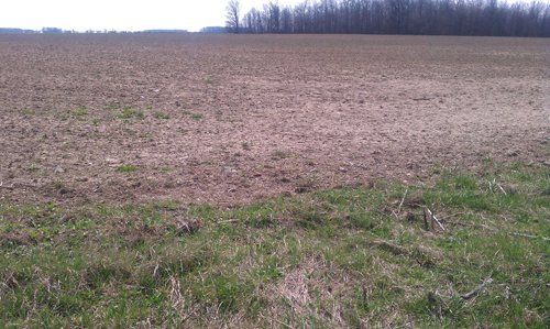 Property photo 2 - 97 Acres Productive Tillable Land