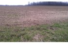 Property photo 2 - 97 Acres Productive Tillable Land