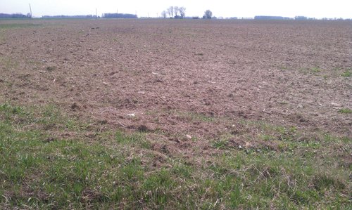 Property photo 10 - 97 Acres Productive Tillable Land