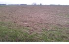 Property photo 10 - 97 Acres Productive Tillable Land