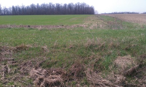 Property photo 1 - 97 Acres Productive Tillable Land