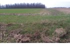 Property photo 1 - 97 Acres Productive Tillable Land