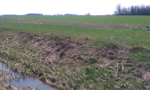 Property photo 6 - 97 Acres Productive Tillable Land