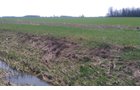 Property photo 6 - 97 Acres Productive Tillable Land