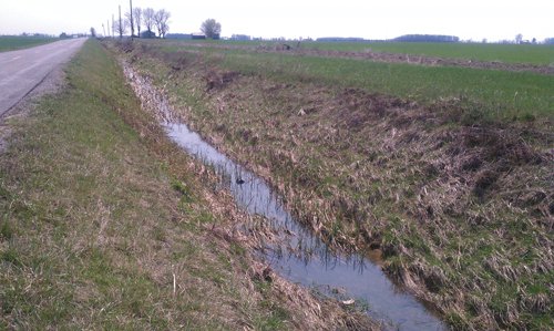 Property photo 5 - 97 Acres Productive Tillable Land