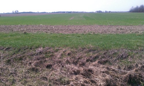 Property photo 8 - 97 Acres Productive Tillable Land