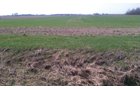 Property photo 8 - 97 Acres Productive Tillable Land