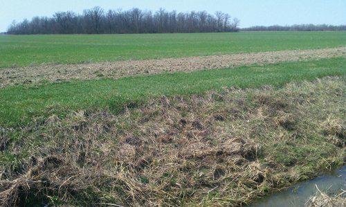 Property photo 3 - 97 Acres Productive Tillable Land