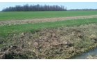 Property photo 3 - 97 Acres Productive Tillable Land