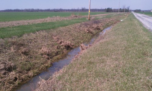 Property photo 14 - 97 Acres Productive Tillable Land