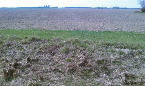 Property photo 15 - 97 Acres Productive Tillable Land