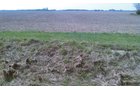 Property photo 15 - 97 Acres Productive Tillable Land
