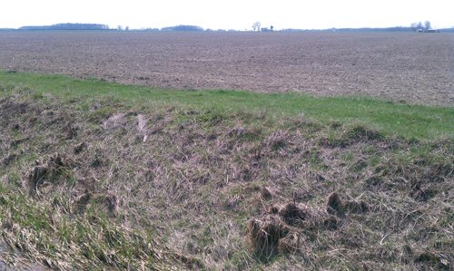Property photo 9 - 97 Acres Productive Tillable Land