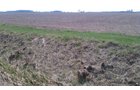 Property photo 9 - 97 Acres Productive Tillable Land