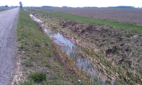 Property photo 12 - 97 Acres Productive Tillable Land