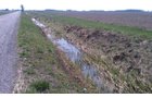 Property photo 12 - 97 Acres Productive Tillable Land