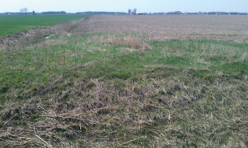 Property photo 16 - 97 Acres Productive Tillable Land