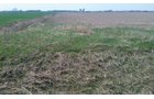 Property photo 16 - 97 Acres Productive Tillable Land