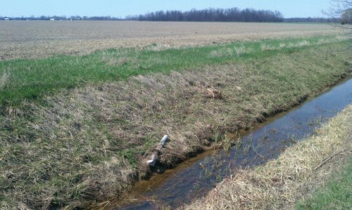 Property photo 11 - 97 Acres Productive Tillable Land