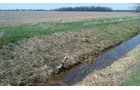 Property photo 11 - 97 Acres Productive Tillable Land