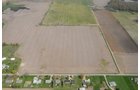 Tract 2 - 371 Acres Offered in 9 Tracts