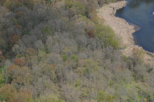 Tract 9 - 371 Acres Offered in 9 Tracts