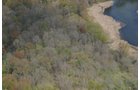 Tract 9 - 371 Acres Offered in 9 Tracts