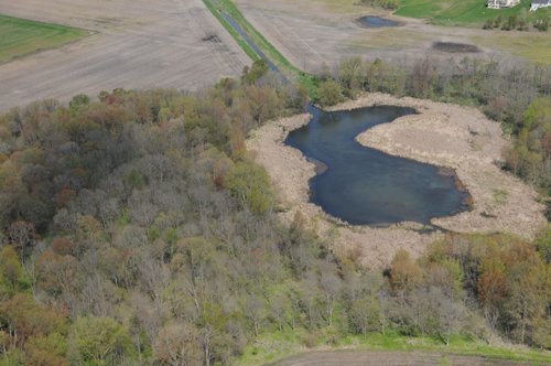 Tracts 8 & 9 - 371 Acres Offered in 9 Tracts