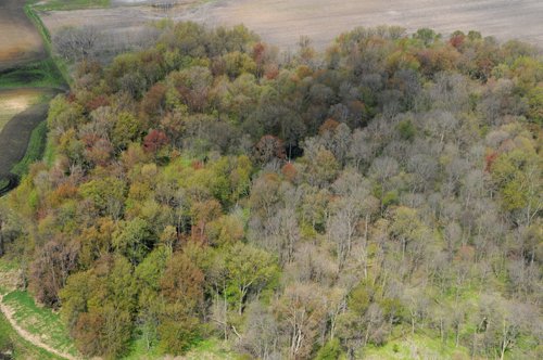 Tract 9 - 371 Acres Offered in 9 Tracts