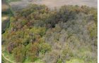 Tract 9 - 371 Acres Offered in 9 Tracts