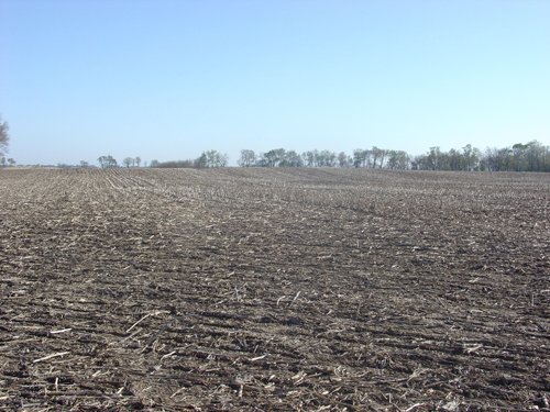 Tract 4 - 371 Acres Offered in 9 Tracts